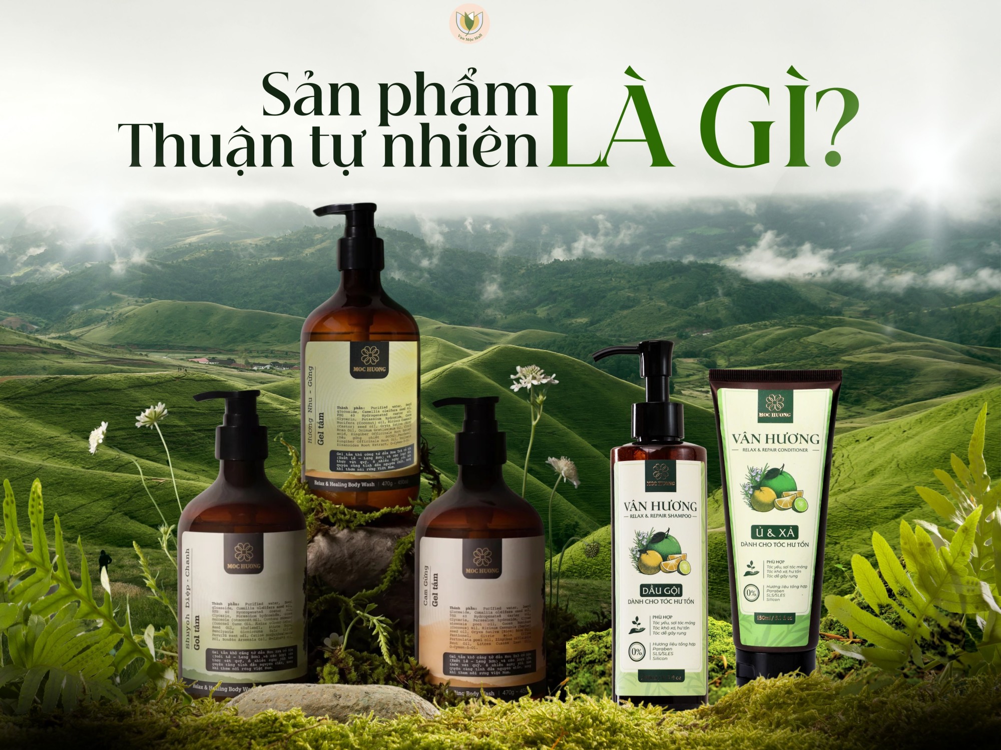 Sản phẩm Thuận Tự Nhiên là gì? Hiểu đúng để chọn đúng