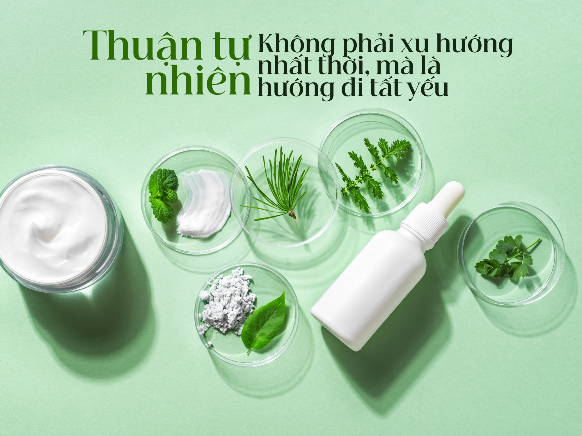 Thuận tự nhiên – Không phải xu hướng nhất thời, mà là hướng đi tất yếu