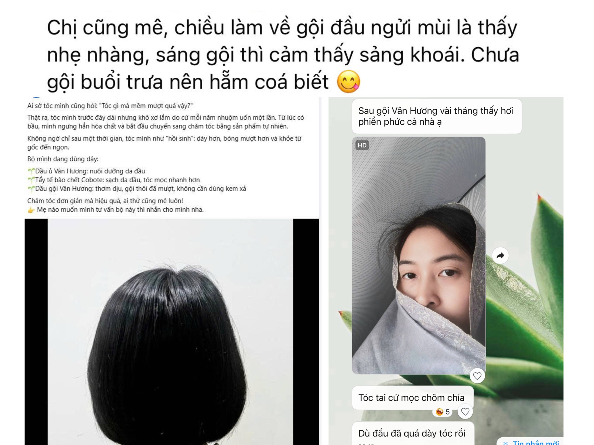 Vân Hương – Dầu gội thảo mộc 15 thành phần cho tóc chắc khoẻ bền lâu